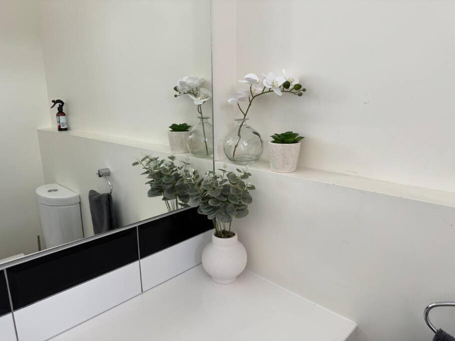 4 Large Bedroom Apartment In The City Hastings Eksteriør billede